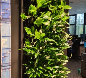 0f27ac4d-b8f7-42a1-b384-ae9cd88c670d