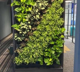 1D9022C3-10B5-405E-B141-D3BC82995427