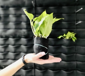 501024de-de48-458e-aa97-d4ed386ead80