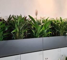 9dd9af0f-c9e1-44fa-8201-408b07608db0