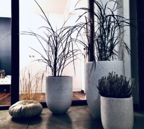 c9bd0094-0ba8-44cd-8d4b-55590101eb82