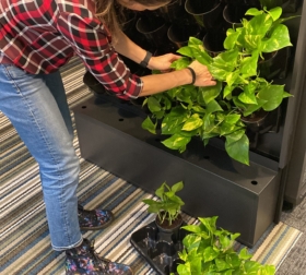 1F1DB39A-AA15-4148-87BE-E915CCAA16AD