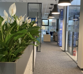 39D35E9E-E00D-41C3-990B-5BC90C4839ED