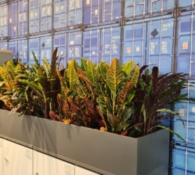 55e12903-c0e0-4639-9e52-8b461ae65bcc