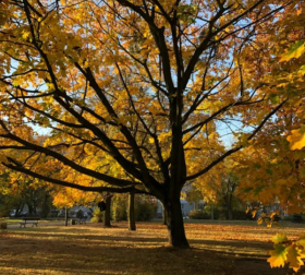 PHOTO-2024-03-04-11-15-49