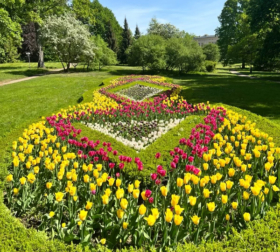 PHOTO-2024-03-04-11-15-52 2