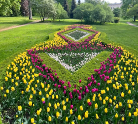 PHOTO-2024-03-04-11-15-52