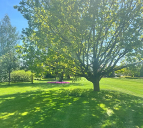 PHOTO-2024-03-04-11-15-52 3