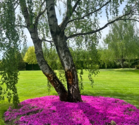 PHOTO-2024-03-04-11-15-52 4