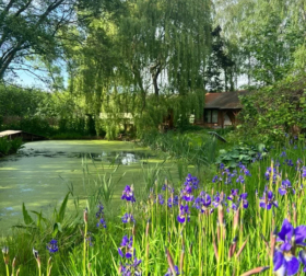 PHOTO-2024-03-04-11-15-52 5