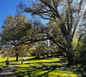 PHOTO-2024-03-04-11-15-54