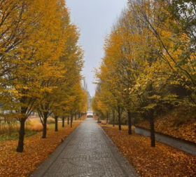 PHOTO-2024-03-04-14-17-48 2